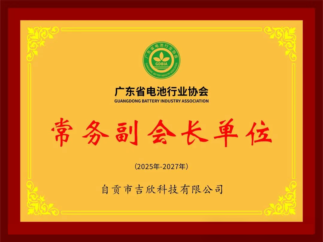 自贡市口袋德州官网科技参与广东省电池行业协会担任常务副会长单元
